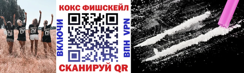 Cocaine FishScale  Купить где  Ставрополь 