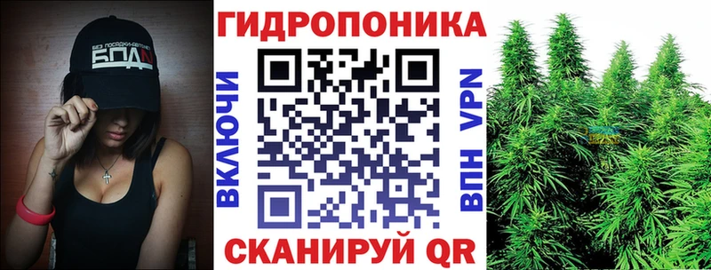 Каннабис MAZAR  Купить где  Ставрополь 